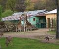 Reference: Solární ohřev vody pro pavilon nosorožců v Zoo Plzeň 
